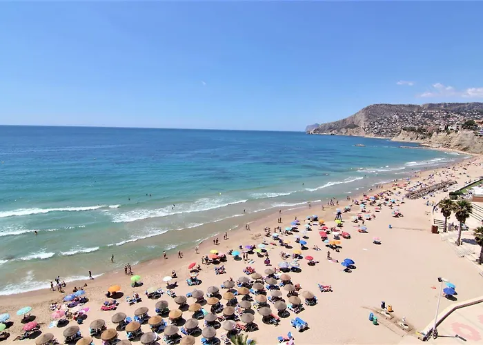 Amibarco Кальпе